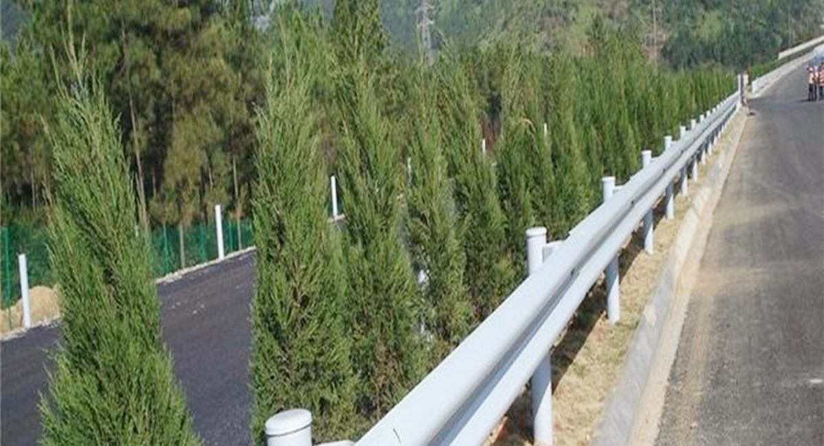 波形護(hù)欄板、鄉(xiāng)村道路護(hù)欄、單波護(hù)欄板世騰加工定制